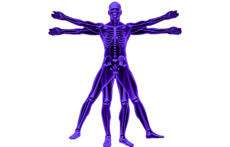 clinical imaging solutions and muskuloskeletal